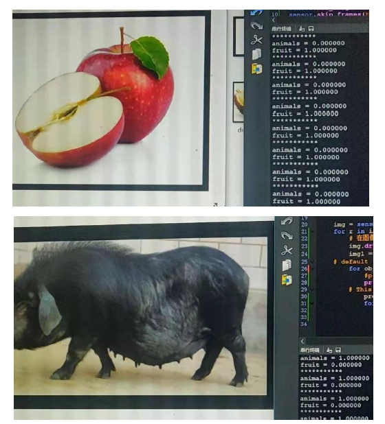 ▲ 图 7.1动物水果识别结果