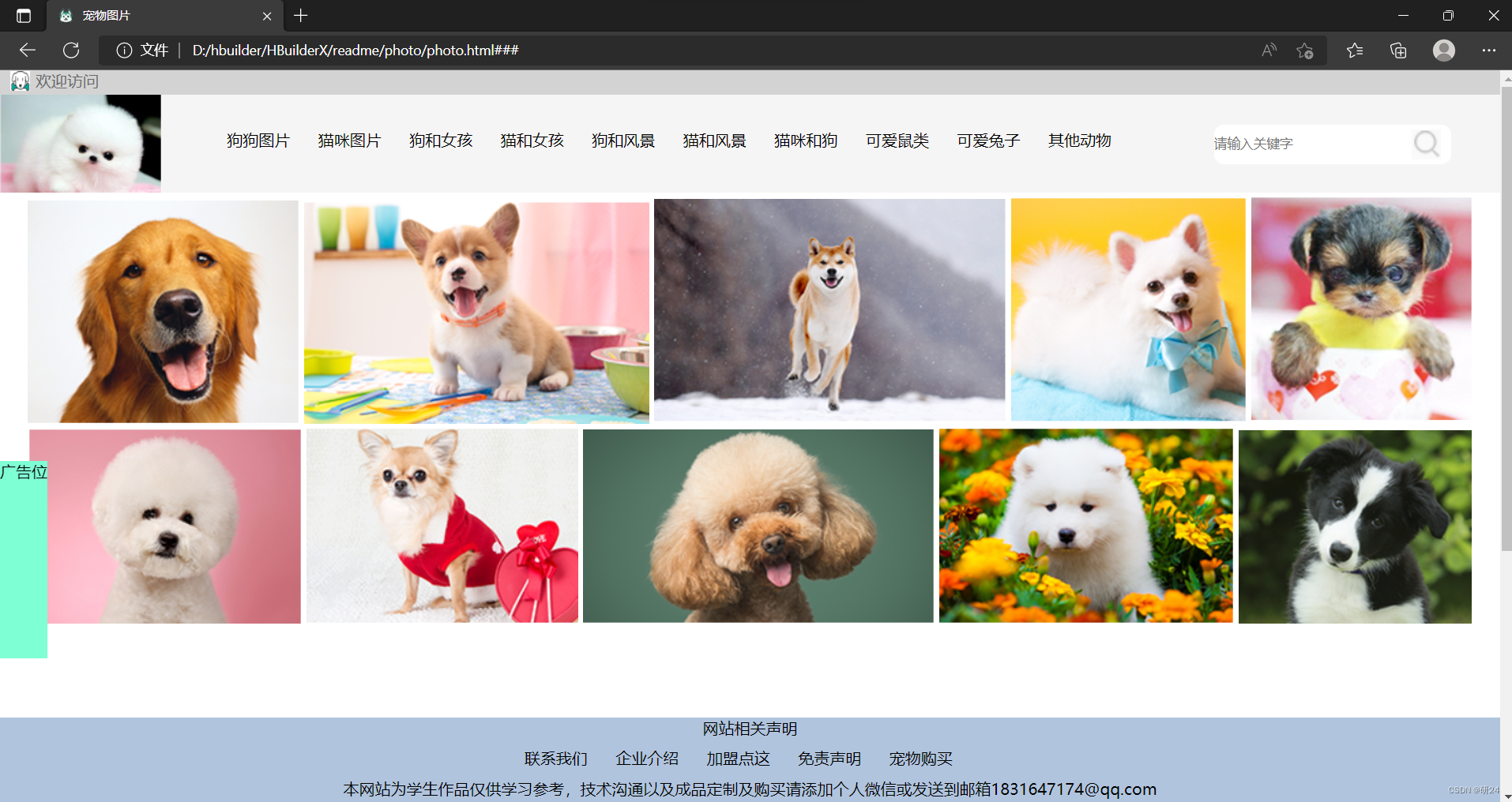 html5实现宠物图片网站（html，css）_html 查看图片的网站-CSDN博客