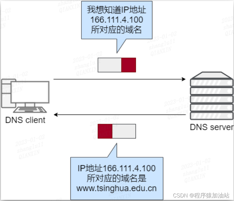 DNS 反向查询