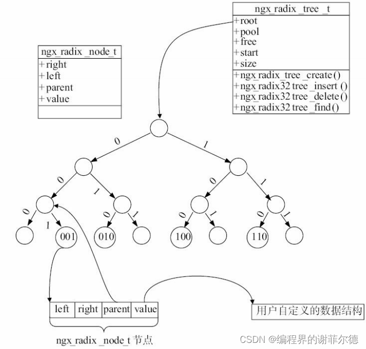 nginx源码分析--基数树