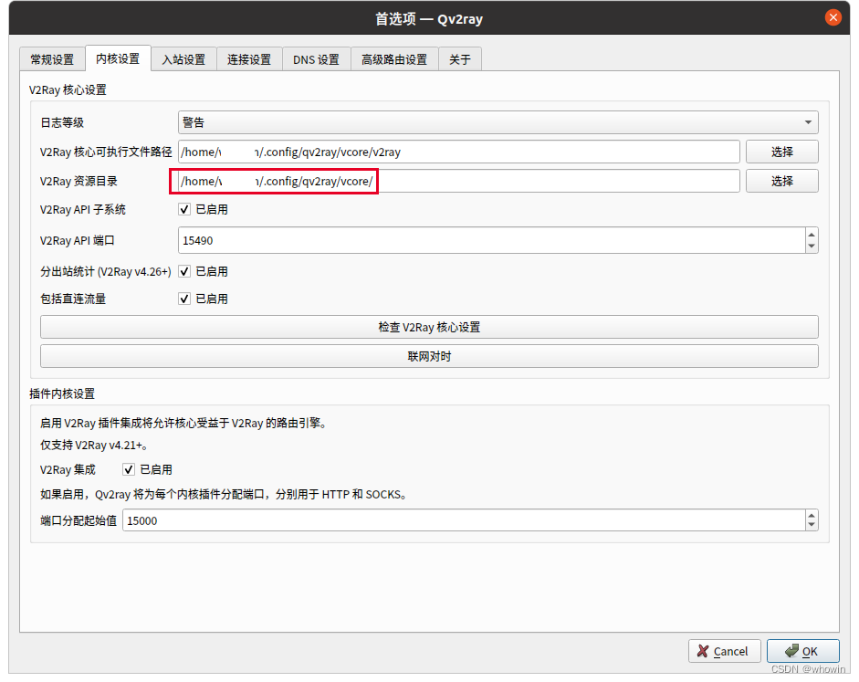 Qv2ray 内核设置