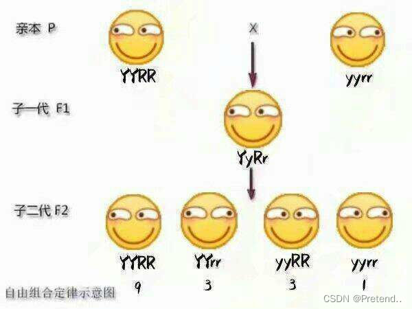 刷穿剑指：二进制篇