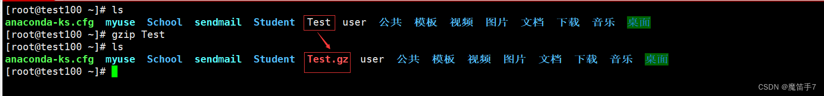 Linux操作系统--常用指令(压缩和解压缩类)