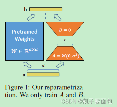 LORA reparametrization