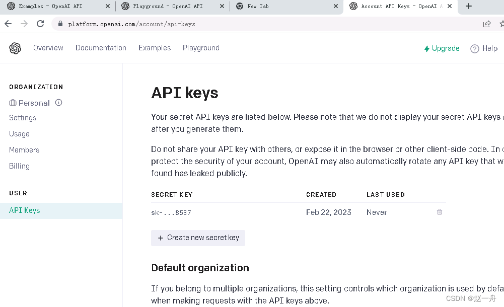 PHP编写聊天演示DEMO接口Chat GPT获取API Keys