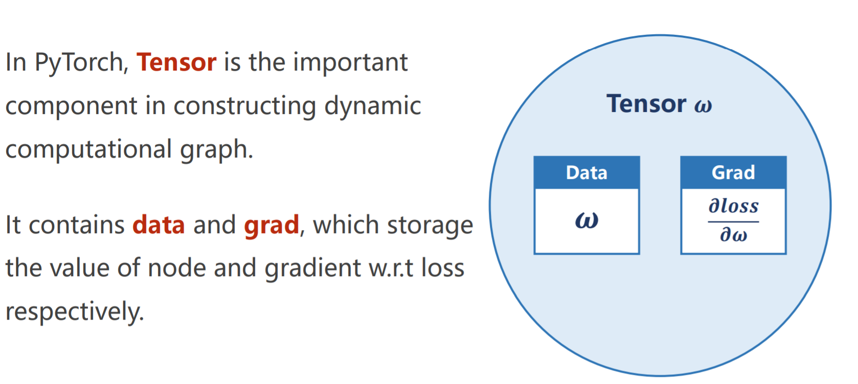 pytorch深度学习实践
