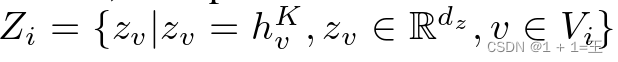 Zi = { zv |  zv = hKv，zvRdz，vVi }。