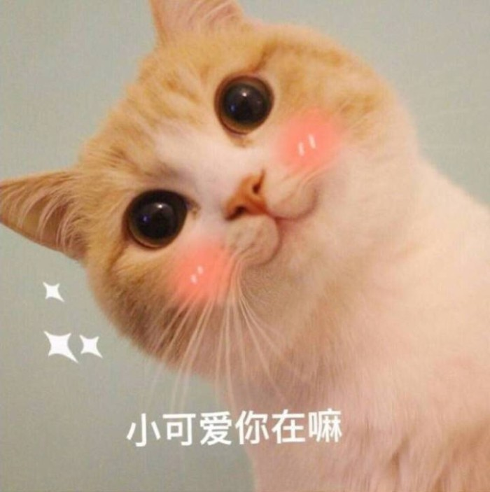 MySQL可视化工具HeidiSQL安装与使用