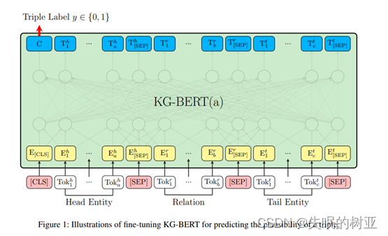 微调KG-BERT以预测三元组合理性的图示