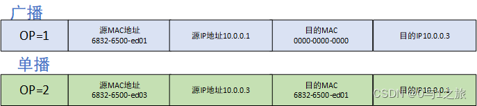 ARP请求和响应