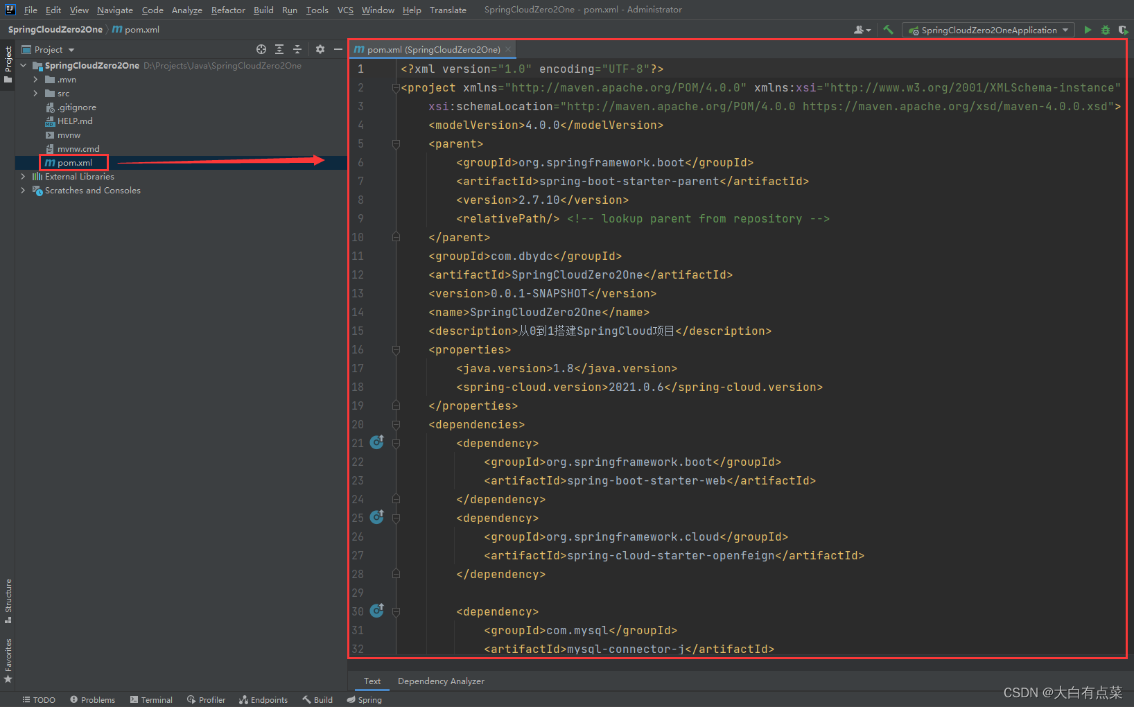 pom.xml 文件列出了所有依赖包。