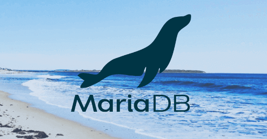 MariaDB Server 10.6.4提供下载插图