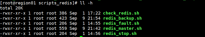 region01_redis_shell