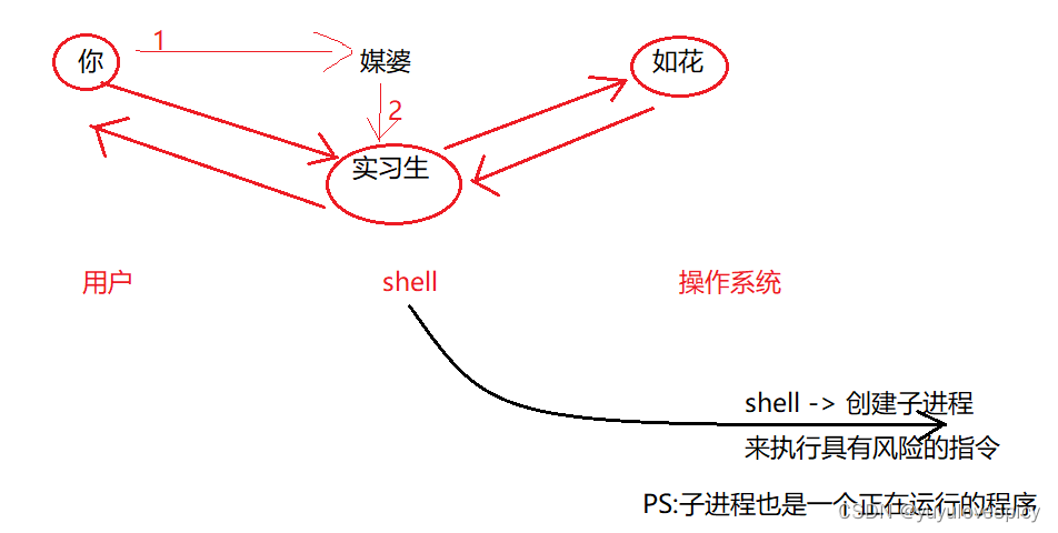 一个生动的例子让你理解Linux的Shell外壳_shell外壳是什么-CSDN博客