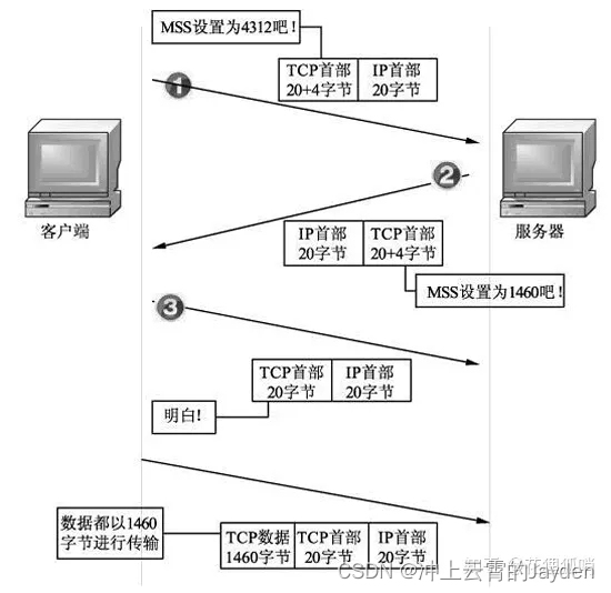 图片来源知乎@花狸狐哨