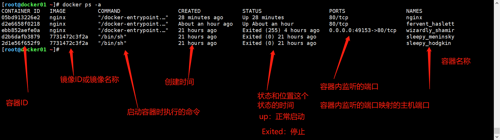 [外链图片转存失败,源站可能有防盗链机制,建议将图片保存下来直接上传(img-xoy5ApL4-1640655549785)(E:\docker ps.png)]