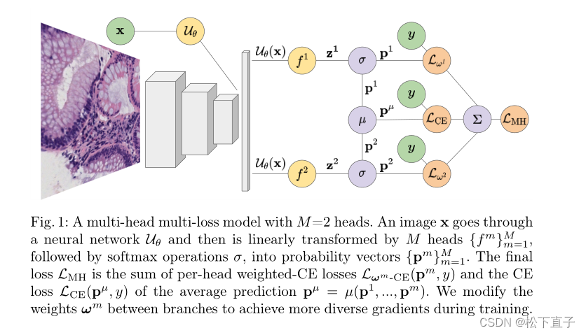 Multi Headed Model Examples 《Multi-Head Multi-Loss Model Calibration》_multi-headed mode是什么模型-CSDN博客