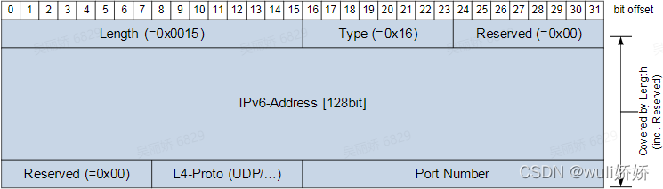 IPv6多播Option 格式