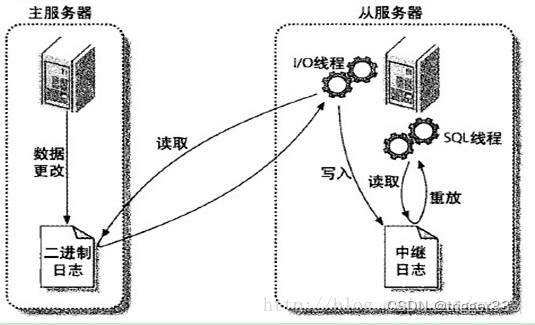 MySQL的主从复制