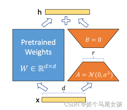 类ChatGPT大模型LLaMA及其微调模型