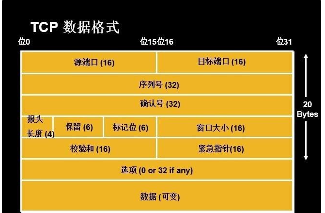 CCNA-数据包在网络设备直接的通信流程