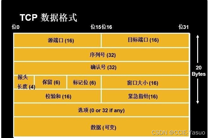 CCNA-数据包在网络设备直接的通信流程