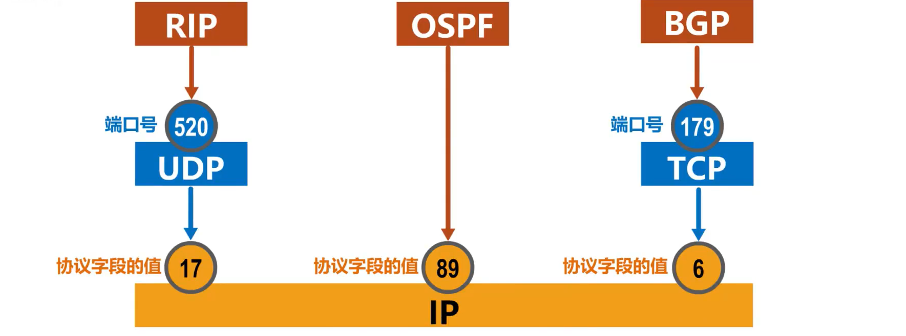 [外链图片转存失败,源站可能有防盗链机制,建议将图片保存下来直接上传(img-f6d68Yco-1638585948784)(计算机网络第4章（网络层）.assets/image-20201019192800829.png)]