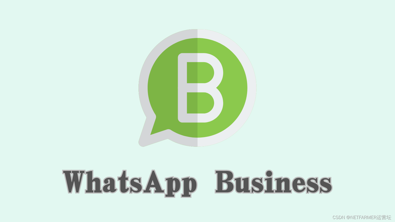 实时沟通，实时增长：企业使用WhatsApp Business的不二选择