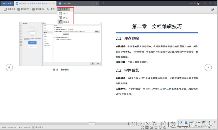 WPS Office 2019 for Linux(WPS 2019 文字操作指引)-CSDN博客