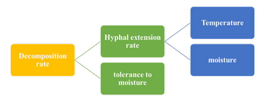 The relationship between the decomposition rate of ground waste and wood fiber by fungi and related factors 