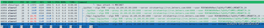 [linux] 挖矿程序的停止与清除