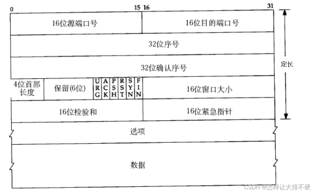 TCP协议段格式