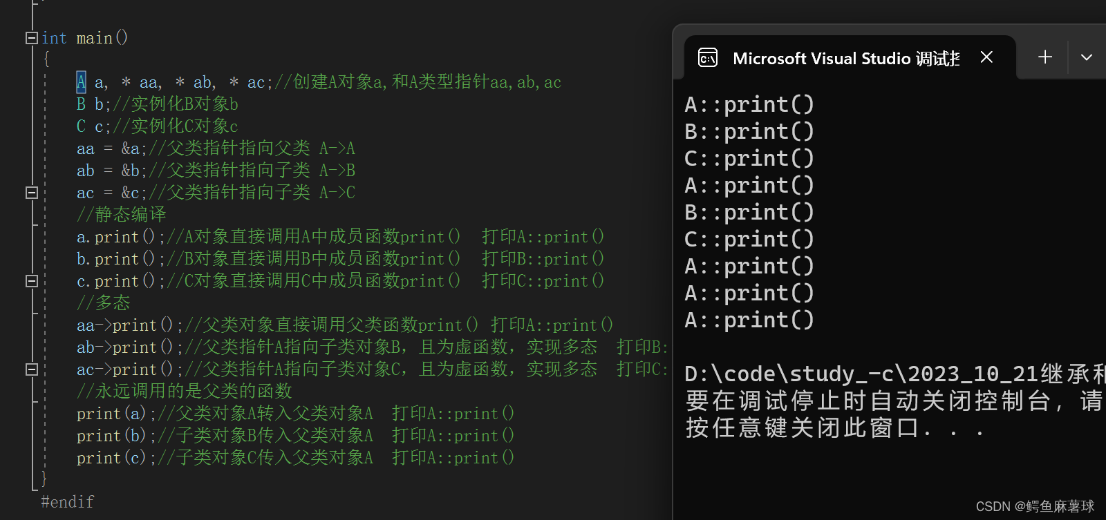 【C/C++笔试练习】继承和派生的概念、虚函数的概念、派生类的析构函数、纯虚函数的概念、动态编译、多态的实现、参数解析、跳石板