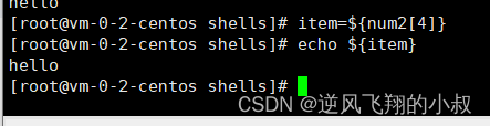 【linux】shell 编程之字符串与数组