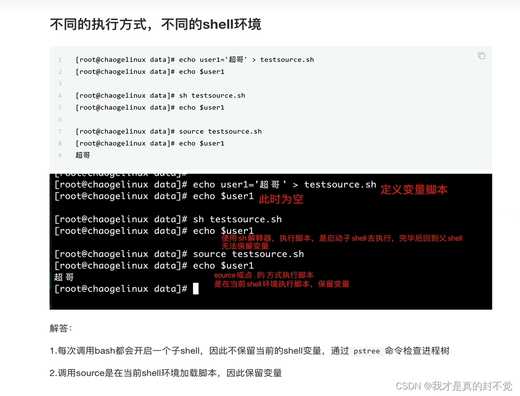 Shell最全笔记 就决定用你了