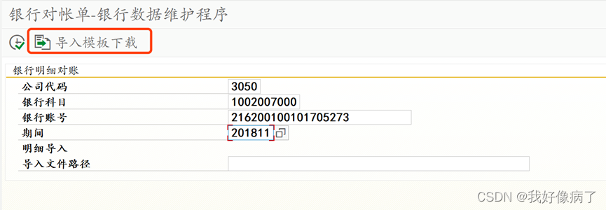 SAP FICO 银行对账单导入功能开发说明书（包括测试样例、程序代码仅作参考，不保证一定可以运行)