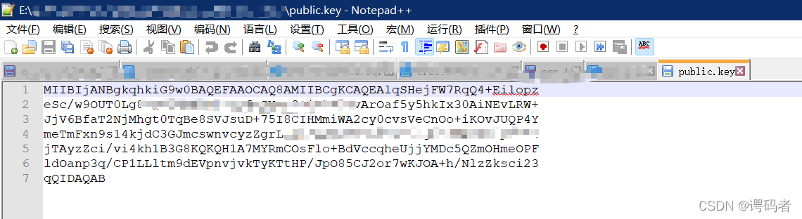 public.key文件内容