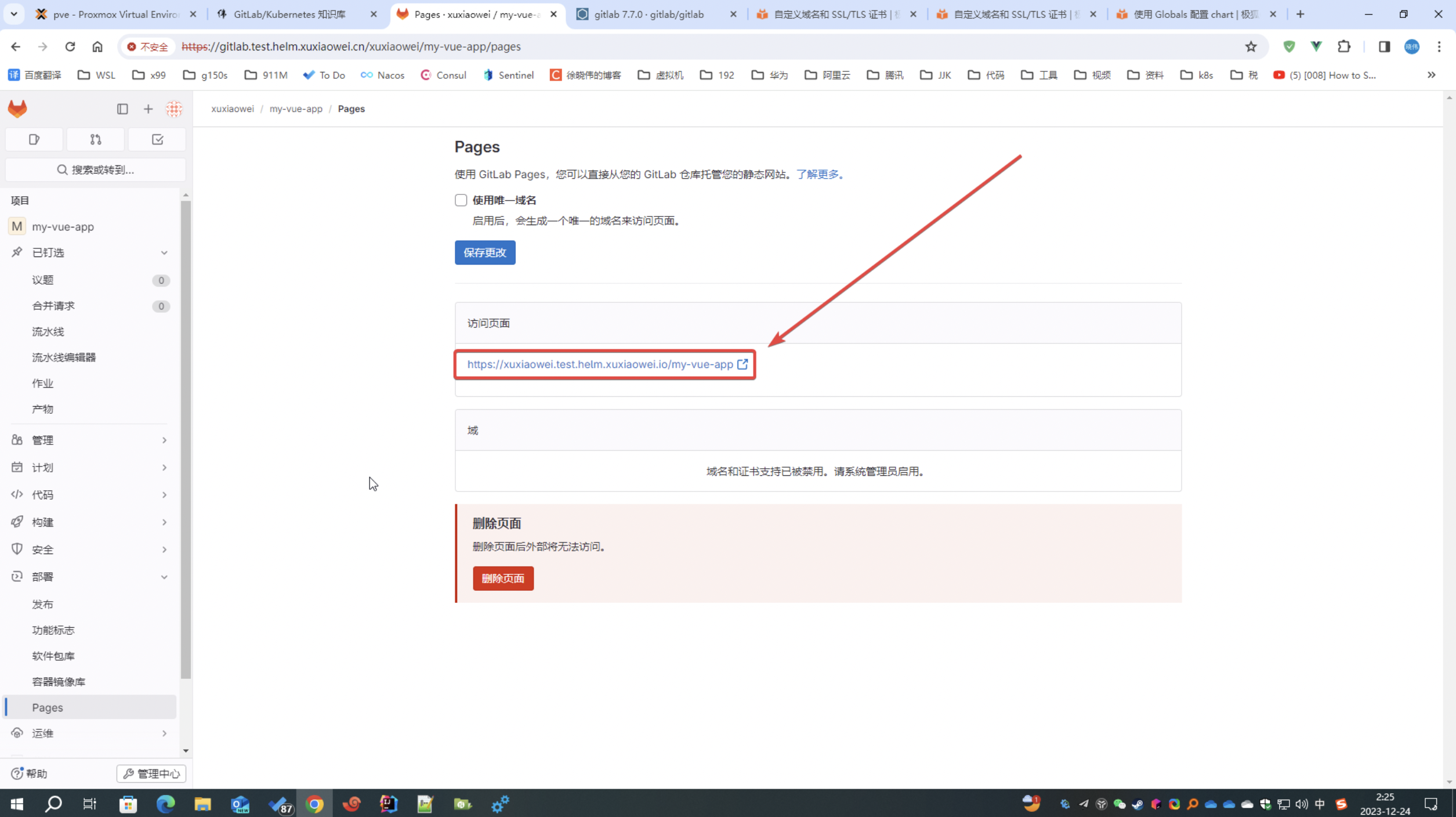 如何使用极狐GitLab 自定义 Pages 根域名