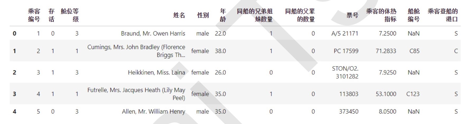 泰坦尼克号的特征