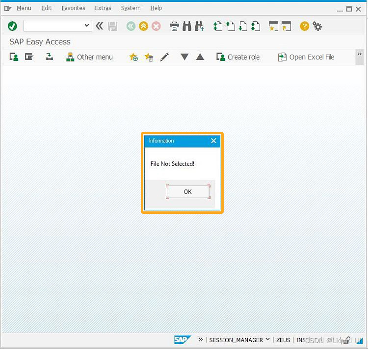 使用按钮从 SAP 系统内打开 Excel 文件