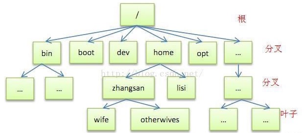 区分Linux中的“根目录”和“家目录”