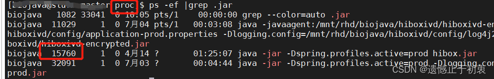 查询到运行中的jar文件，其中一个进程为15760