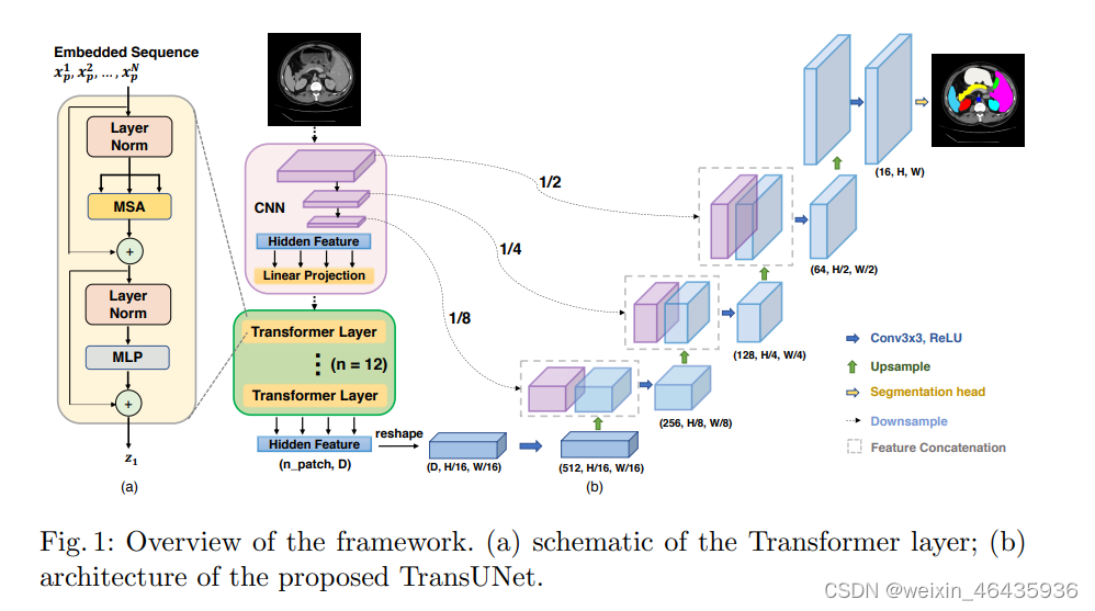 Transcnednet TransUnet: 结构解析_transunet代码详解-CSDN博客