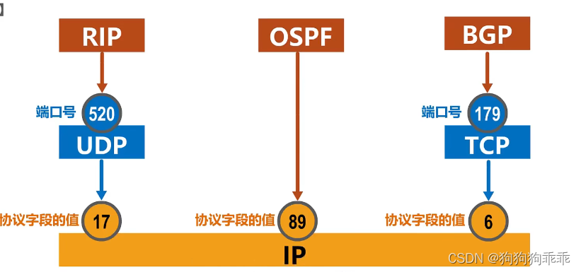 计算机网络 网络层 边界网关协议BGP