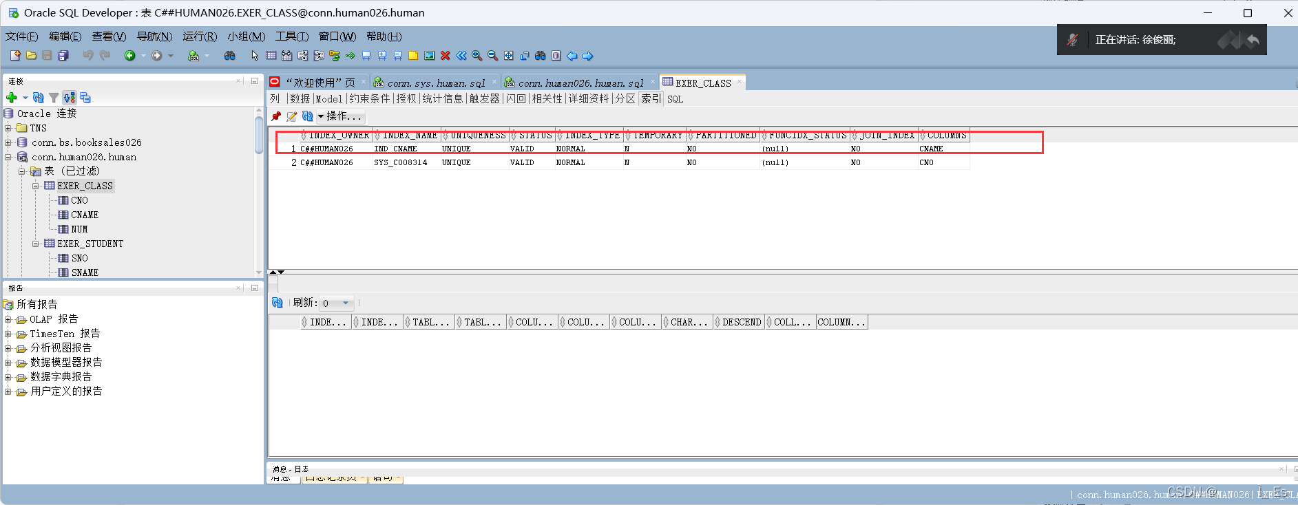 【Oracle 实验 实验4 Oracle数据库模式对象管理】