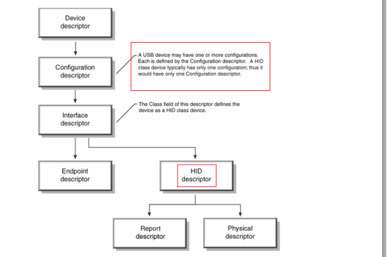 USB_21, USB interface HID device: physical descriptor - Programmer Sought