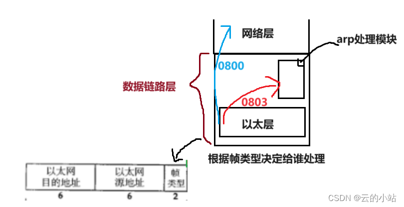 数据链路层中存在的报文ip，arp，rarp