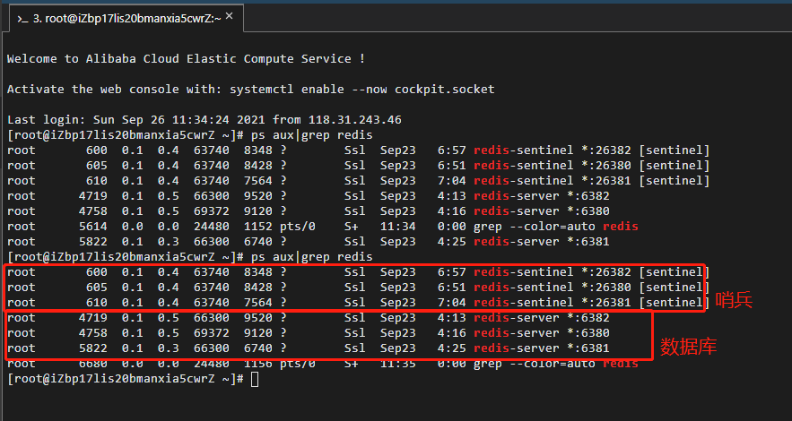 Redis哨兵搭建以及SpringBoot整合_谢小鱼的博客