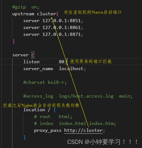 [外链图片转存失败,源站可能有防盗链机制,建议将图片保存下来直接上传(img-p4Hau8Mq-1668556332091)(image/134、修改nginx.png)]